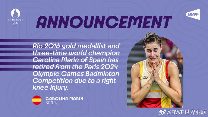 关于法国羽毛球队险胜印尼羽毛球队，马琳关键制胜的信息