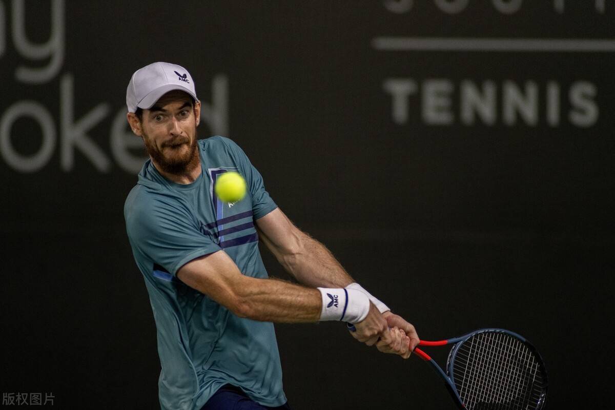 德国网球队横扫英国网球队，穆雷惊艳世界的简单介绍