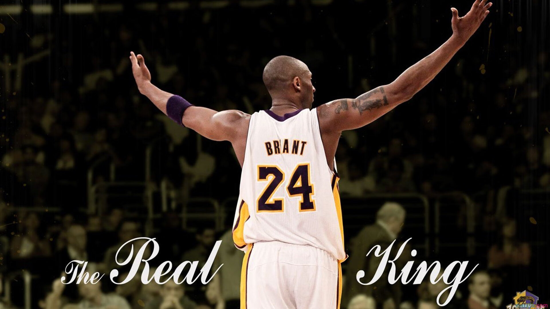 武切维奇独揽乾坤，步行者血拼篮网，一人之手定江山