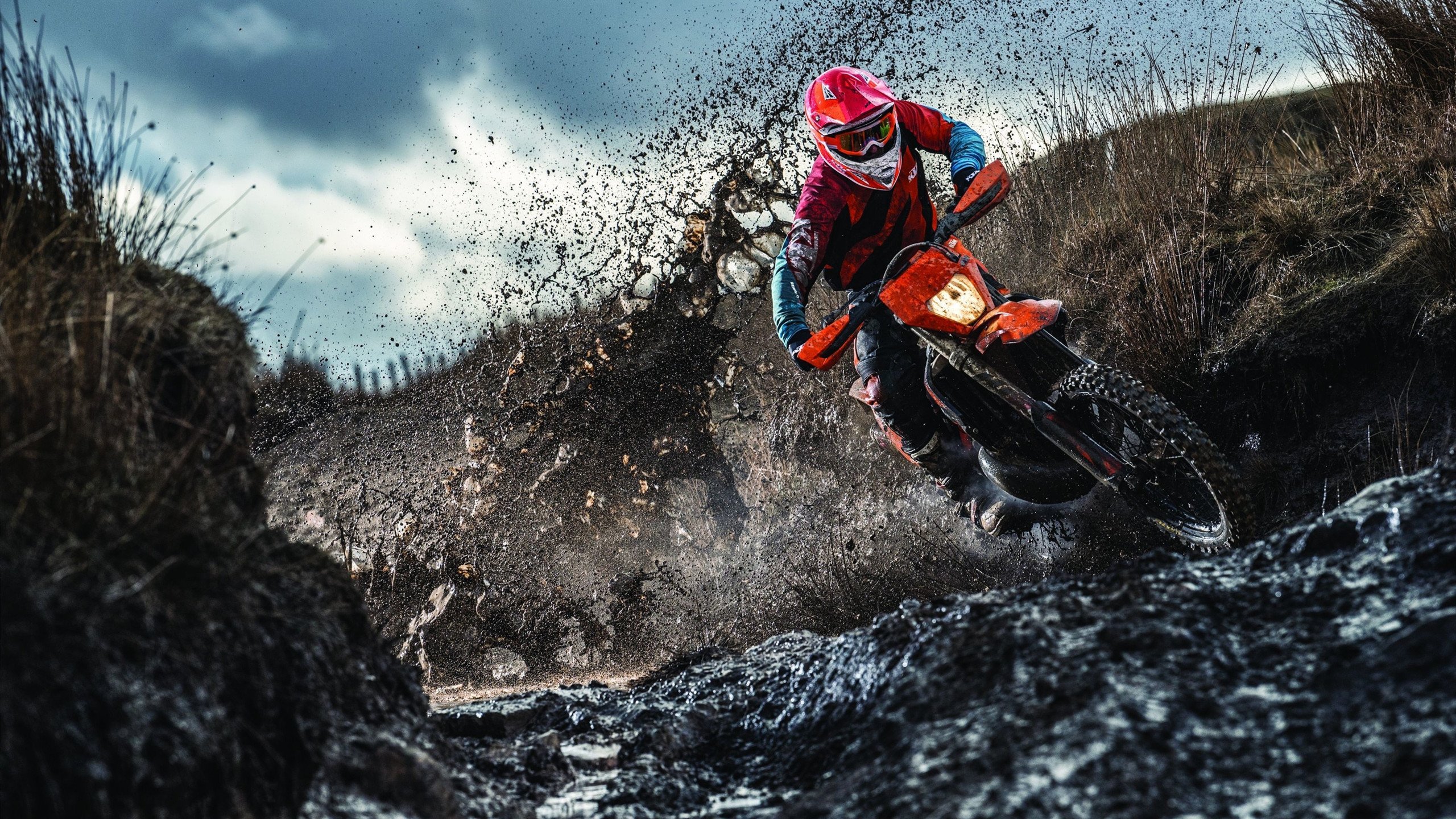 孤胆英雄与银色利刃,阿隆索单骑扛旗,阿斯顿马丁横扫红牛二队启示录